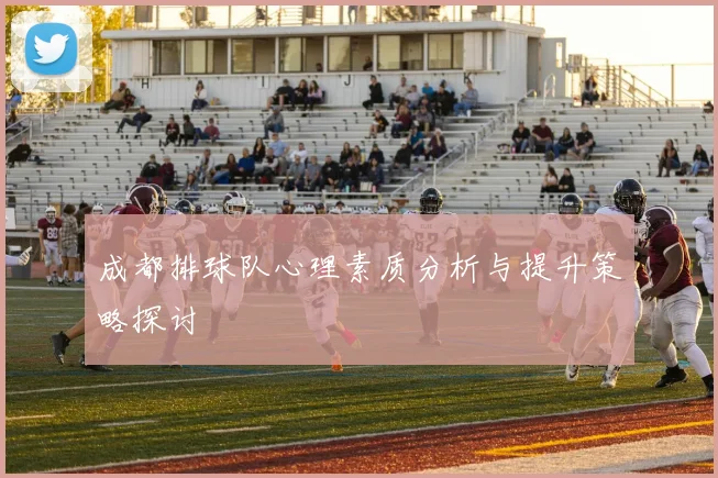 成都排球队心理素质分析与提升策略探讨