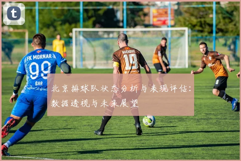 北京排球队状态分析与表现评估：数据透视与未来展望